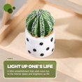 thumbnail image 2 of Dosaele 4 Pcs Plant Potted Prickly Pear Cactus Bonsai Artificial with Pots Office, 2 of 8