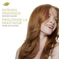 thumbnail image 3 of Dove Advanced Dry Shampoo Refresh & Revive Flat Hair Without Water Volume & Fullness for 2 Days of Freshness & Bounce 142g, 3 of 6