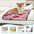 thumbnail image 6 of RMDQTR 2Pack Set of Medium and Large Pet Potty Pads Reusable Ultra-Absorbent Pet Training Pads Leak-Proof Pet Pads Cherry Fruit, 6 of 7