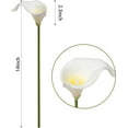 thumbnail image 2 of 20Pcs Artificial Calla Lily Flower Real Touch Latex Flowers for DIY Wedding Bouquet Party Home Decor (Pure White), 2 of 5