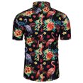 thumbnail image 3 of Camisetas gráficas para niñas Tropics Binkini para hombres, ropa, camisa hawaiana de playa con estampado 3D, camisetas Y2K de manga corta, blusas con solapa, 3 of 5