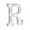 Letter-R, variant on Graduation Light Up Letters and Numbers - Class of 2026 White LED Signs for Kindergarten Preschool High School College Graduation Party, Celebrations, Events Decorations (Letter-D)