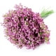 thumbnail image 1 of Xiao Hua Ramos de flores artificiales de Gypsophila morada, 7 unidades, tacto real, para bodas, fiestas, decoración del hogar., 1 of 5