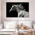 thumbnail image 2 of Elephant Stock Arabian Horse Wall Art - Horizontal Canvas Wall Art - Living Room Wall Decor - Photography Animal Canvas - Black And White Decor - 51" x 34", 2 of 8