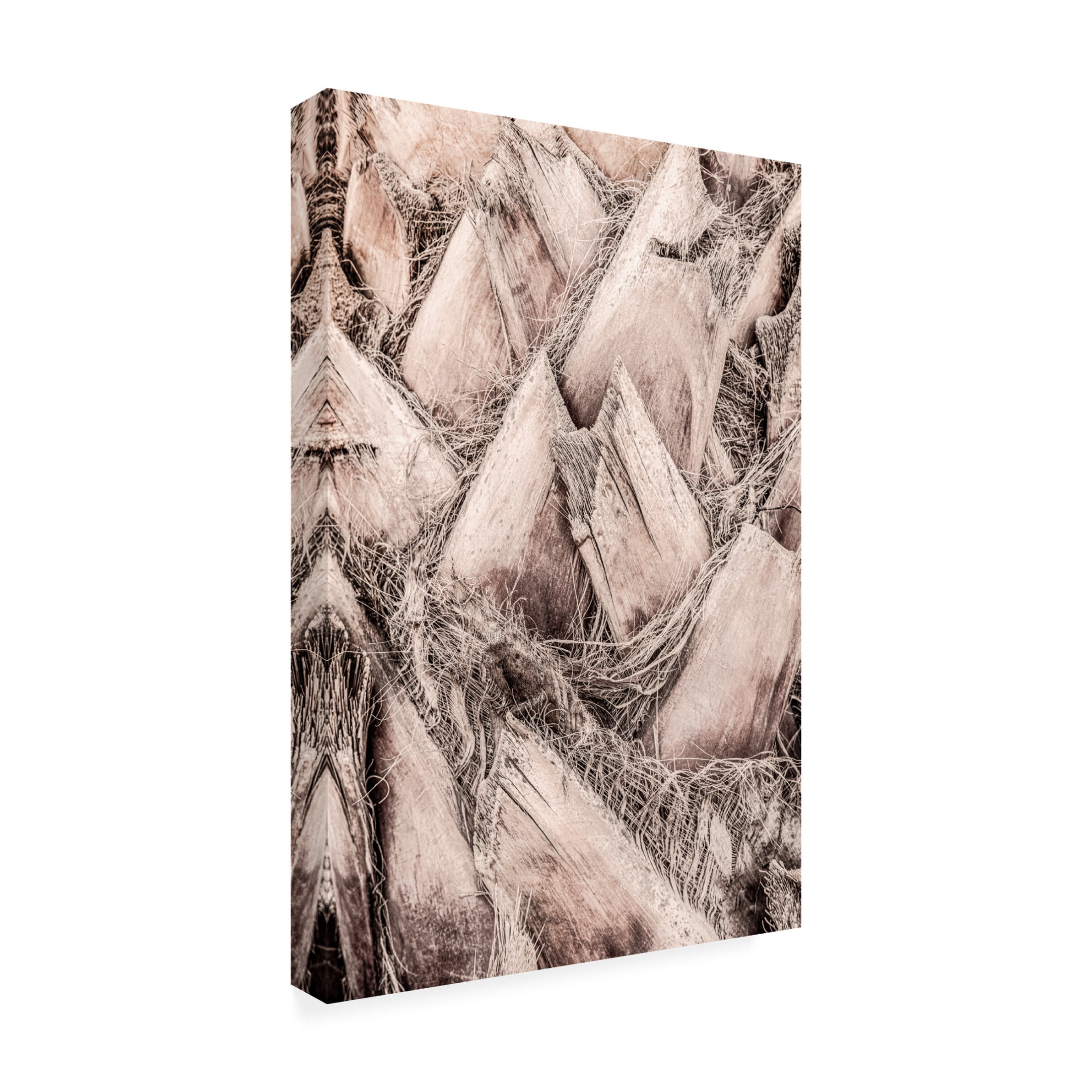 Trademark Fine Art Pictufy Studio III Solaris 07 Canvas Wall Art