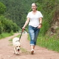 thumbnail image 4 of VIVAGLORY Dog Leash with Double Handle, Reflective Nylon Lead, Medium & Large, Black, 4 ft, 4 of 6