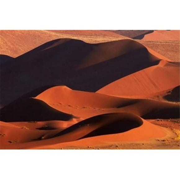 Danita Delimont PDDAF31DWA0474B Sand Dunes At Sossusvlei Namib-Naukluft National Park Namibia Poster Print by David Wall, 24 x 15