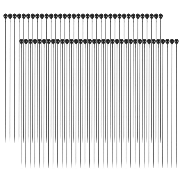 PTOOTP 100 especímenes de insectos de acero inoxidable para disección entomológica escolar - n.° 0 (plata)