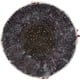 thumbnail image 3 of Béisbol Rawlings Competition Grado RLLB1 Little League 14U, 3 of 7