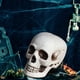 thumbnail image 5 of Halloween Skeletons Plastic Realistic Fake Simulation Human Skull HeadBone Model Halloween Prop Realistic Mini Skeleton Spooky Halloween Decoration, 5 of 5