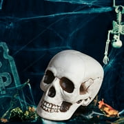 Wadada Skull Head Halloween Decor, Realistic Life-Size Skeleton Skull Halloween and Day of The Dead Decoration, Scary Human Skull Replicas Skeleton Decor, Head Skulls Decor (7.8 Inch)