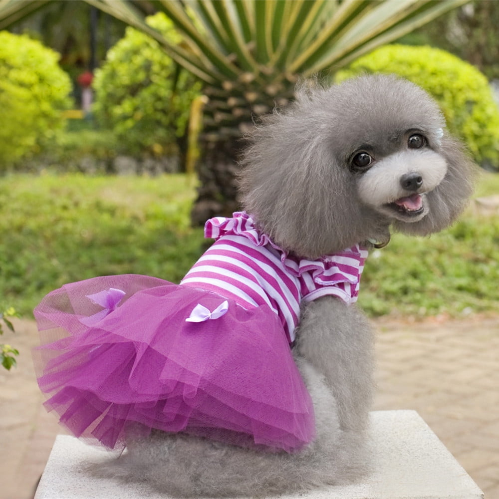 Pet Small Dog Cute Stripe Puppy Bow Lace Tutu Skirt Princess Dress