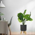 thumbnail image 4 of LOVIVER Pot de Fleurs Rond avec Pieds en Bois Intérieur Extérieur Pot de Fleurs sur Pied Gris m, 4 of 8