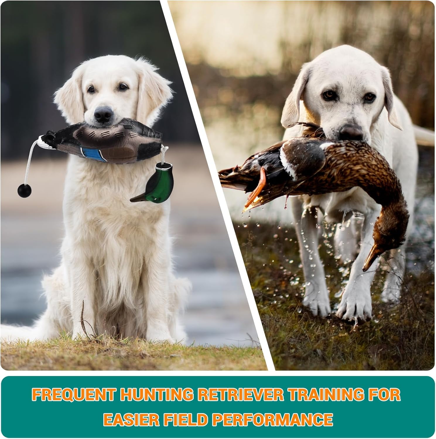 2 PCS Floatable Realistic Duck Dummy for Dog Retriever Training, Hunting Dog Recognition Trainers, Waterfowl Training Dummy, Interactive Foam Pet Toys, Duck Dog Toys