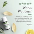 thumbnail image 5 of Pranarom Provence Cypress Organic Essential Oil Diffusion Blend, 5 of 7