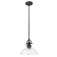 thumbnail image 2 of Virginia 1-Light Matte Black Pendant With Clear Glass Shade, 2 of 4