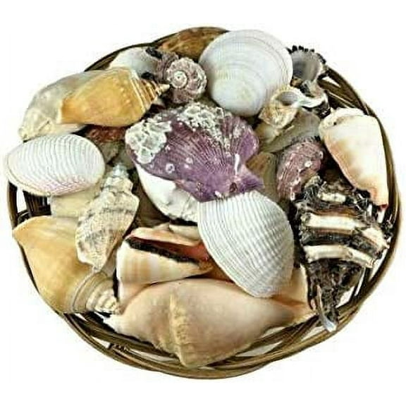 Carga de Olokun| Olokun Shell Basket| Yemaya Seashell Basket