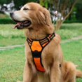 thumbnail image 4 of Orange Dog Harness,No-Pull Pet Harness with 1 Leash Clips,Adjustable Soft Padded Dog Vest,Reflective, 4 of 5