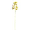 thumbnail image 1 of Vickerman FA188904 32 in. Green Orchid Stem, 1 of 1