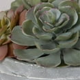 thumbnail image 5 of Uttermost Peoria Contemporary Cement Stone Succulent Garden in Gray/Green, 5 of 5