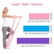 thumbnail image 1 of 3pcs Resistance Bands Set with Door Anchor and Carry Bag Elastic Exercise Workout Bands for Women Men Fitness Strength Training Yoga Pilates, 1 of 5