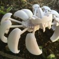 thumbnail image 2 of Araña de Calabaza en 3D, Estatua de Escritorio de Calabaza Antiestrés, Regalo de Oficina, Decoración de Transformador de Calabaza, 2 of 4