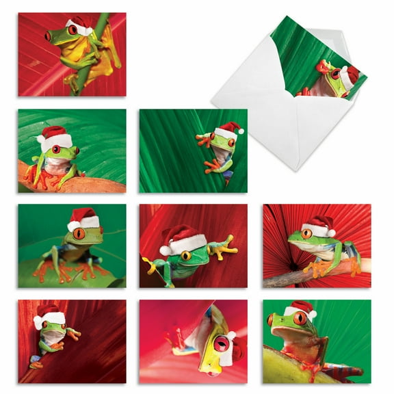 Tiny Frogs in Santa Hats Assorted Christmas Cards, 10ct