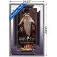 thumbnail image 3 of Harry Potter and the Sorcerer's Stone - Dumbledore Wise Wall Poster, 22.375" x 34", Framed, 3 of 3