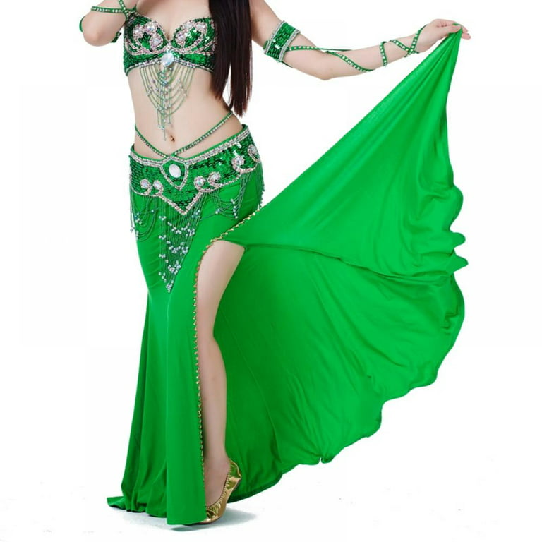 Belly Dance Costume for Women Tribal Bra Belt Sexy Professional Carnival  Outfit