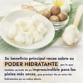 thumbnail image 4 of HEBBE - Manteca de Karit&eacute; 1kg | Protege y Nutre | Combate Envejecimiento | Revitaliza Piel Seca | Ideal para Masajes | Rico en Vitaminas y Antioxidantes., 4 of 9