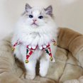 thumbnail image 2 of Collier de Noël Chien Modèle Créatif Mode Mignon Animal Collier Chiot Collier, 2 of 8