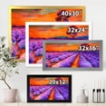 thumbnail image 4 of Designart 'An Orange Sunset Over Purple Lavender Fields I' Farmhouse Framed Art Print, 4 of 4