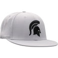 thumbnail image 3 of Men's Top of the World Gray Michigan State Spartans Fitted Hat, 3 of 4