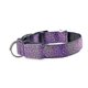 thumbnail image 1 of Led leopardo ajustable, collar luminoso de nailon de seguridad nocturna para perro mascota Purple-l41-52cm Aespa,11 Afortunado Sencillez, 1 of 3