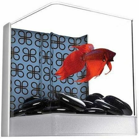 Aqua Culture Aquarium