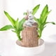 thumbnail image 5 of Decoración hidropónica de madera brasileña, decoración y decoración de mesa., 5 of 5