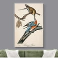 thumbnail image 2 of wall26 Canvas Print Wall Art Passenger Pigeons by John James Audubon Animals Birds Illustrations Modern Art Rustic Scenic Relax/Calm Multicolor Warm for Living Room, Bedroom, Office - 16"x24&quo, 2 of 5