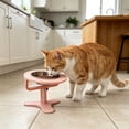 thumbnail image 6 of Pet Feeding Bowl Adjustable Height Angled Design Non Slip Base for Cats and Small Dogs, 6 of 6