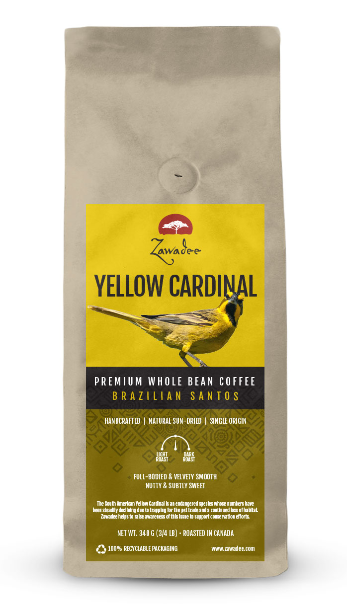 Whole Bean Coffee Yellow Cardinal Brazilian Santos 3/4 lb 340 grams