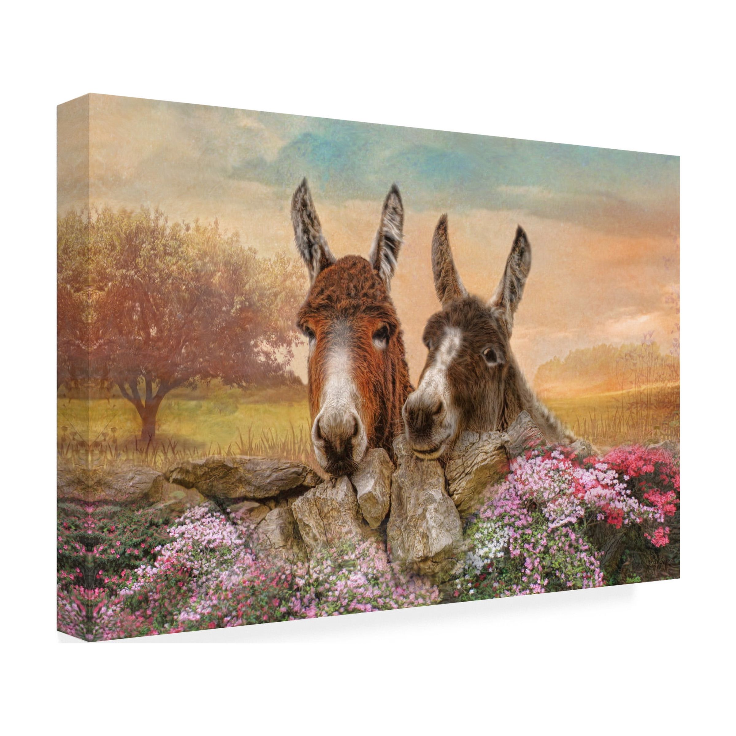 Canvas Wall Art - Trudi Simmonds 'Donkey Duo' Wall Art for Living Room, Bedroom, or Office DÃ©cor by Trademark Fine Art - 24 x 16 Inches
