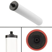 Doulton W9123053 9501 UltraCarb NSF Certified BSP Thread Ceramic Filter Candle Element Cartridge, 10 inch, Single