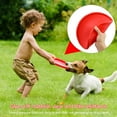 thumbnail image 4 of Frisbees para perros, discos voladores de goma para cachorros, perros pequeños, medianos y grandes, 22,5 cm (verde + rojo)., 4 of 5