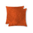 thumbnail image 1 of TORINO COWHIDE PILLOW 18"X18" 2-PACK, 1 of 1