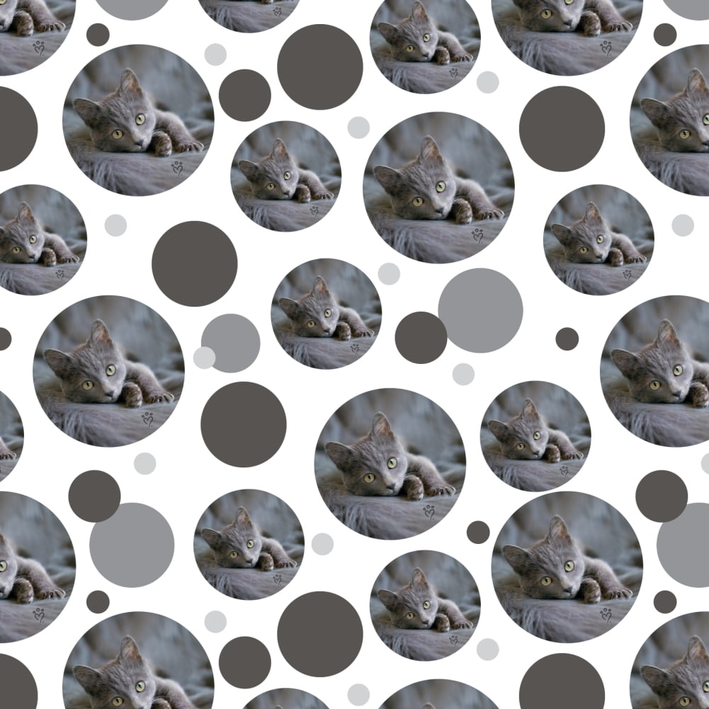 Gray Domestic Shorthair Kitten Cat Fur Premium Gift Wrap Wrapping Paper Roll