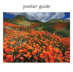 Pink Sky Puzzle 300 Piece Cylinder Box Gift Jigsaw Puzzle