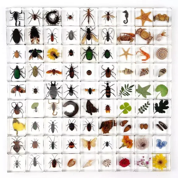 50 Pcs Insect Specimen Bugs in Resin Collection Flower Shell Plant Resin lot