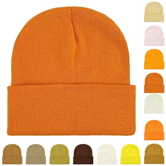 Baberdicy Unisex Cuffed Beanie, Soft Knit Winter Ski Hat for Men Women, Classic Watch Cap T1501 Universal Fit