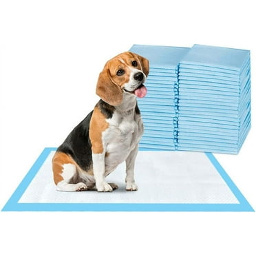 Super absorbent waterproof pet training urine pad, small 17.1 × 23.6 inches 50 pieces, dog puppy training toilet leak-proof blue