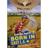Born in East L.A. (DVD), Universal Studios, Comedy