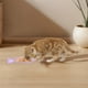 thumbnail image 3 of Comedero Lento Para Gatos Con Forma De Pez, Alfombrilla Para Lamer, Alternativa Al Cuenco O Plato De Comida Lento Para Gatos, Perfecto Para La Alimentación Y La Reducción De La Ansiedad, 3 of 4